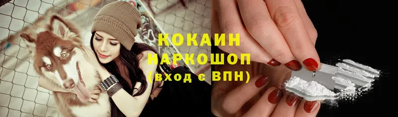 COCAIN 99%  Ардатов 