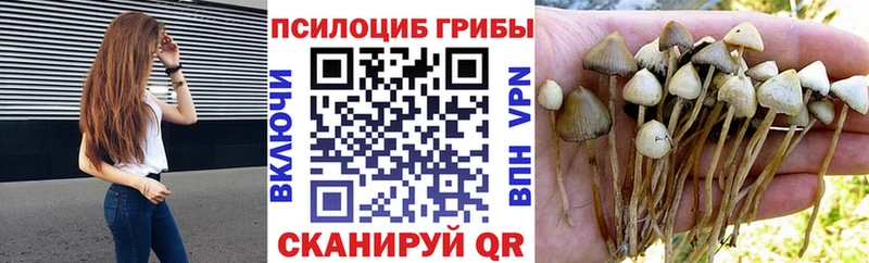 Псилоцибиновые грибы GOLDEN TEACHER  купить  сайты  Ардатов 